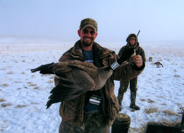 Canada Goose, Modoc Waterfowl Outfitters