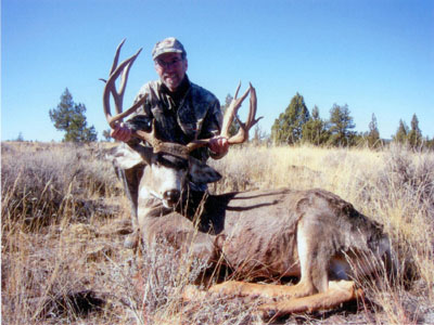 California Mule Deer, Modoc County