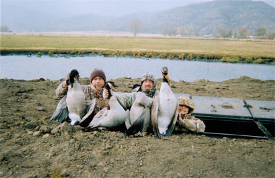 Canadian Geese Hunt, Modoc County California